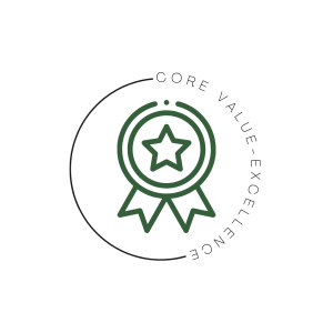 Core Values Excellence