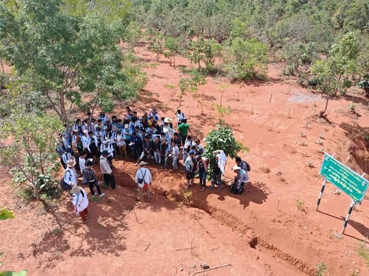 Soil