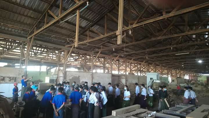 Department of Forest Production & Utilization 3 timber