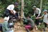 Home 17 internship-2
